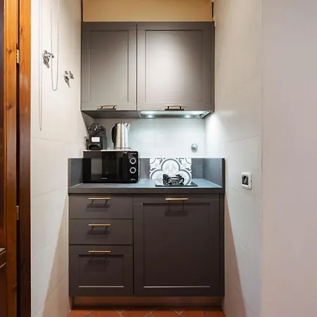 Charming In The Heart Of Santo Spirito Διαμέρισμα *