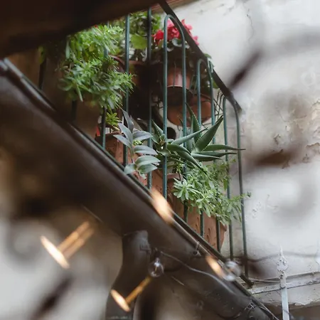 Charming In The Heart Of Santo Spirito Διαμέρισμα Φλωρεντία