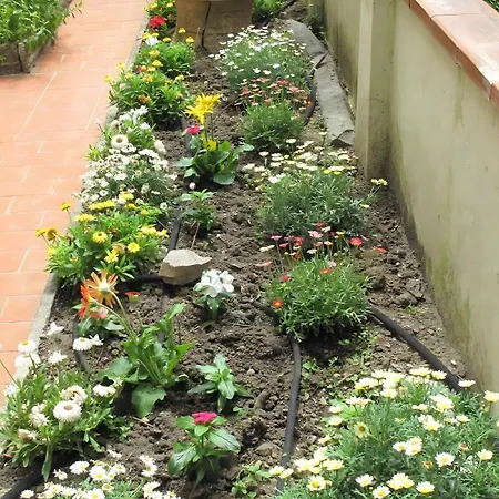 Le Petit Jardin Center * Florence