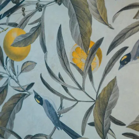 Magnolia *