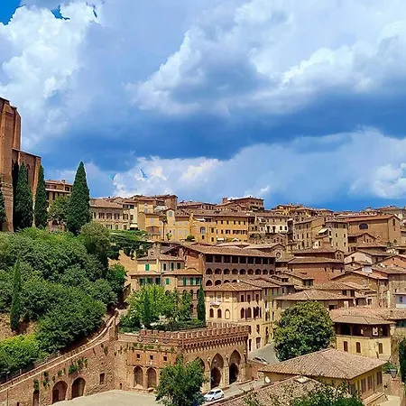 Leone * Firenze
