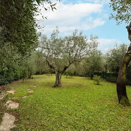 Via Bolognese, 238 - Emma - Il Tuo Soggiorno Immerso Nel Verde *