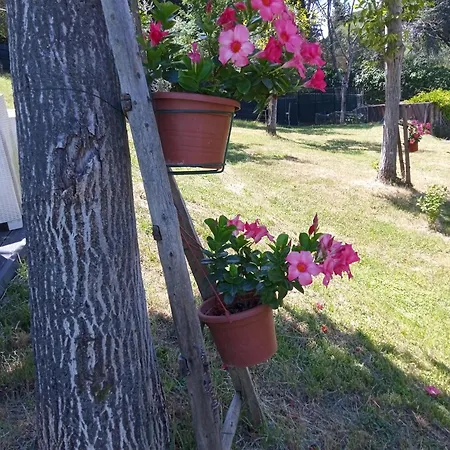 Holiday home Casa Chiantigiana 131b Florence