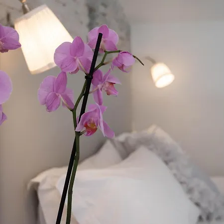Design Loft Belle Donne