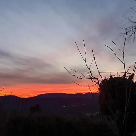 In Konukevi Floransa