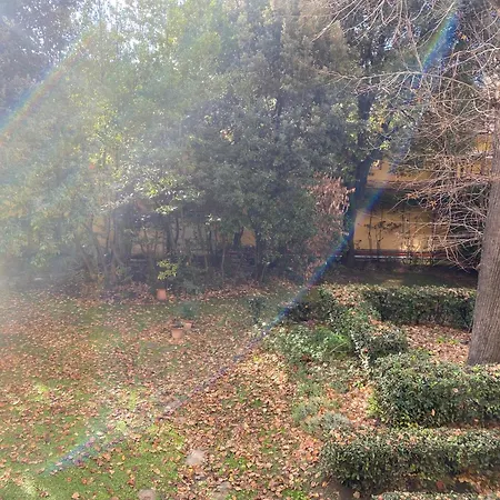 Cozy With Access To Garden Daire *