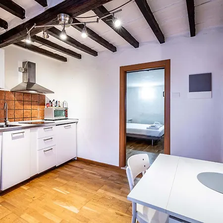 Roommo Carmine Apartment Florence