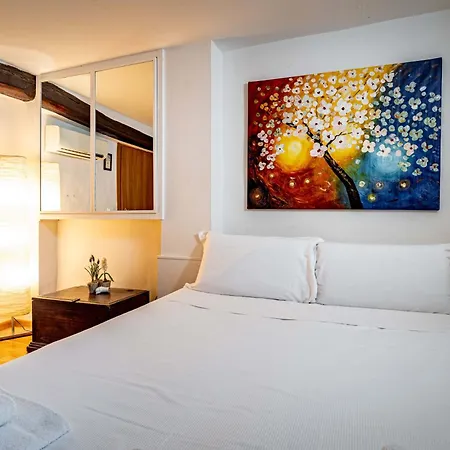 Roommo Carmine Apartment Florence