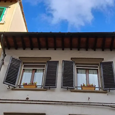 Apartment Guelfa 56