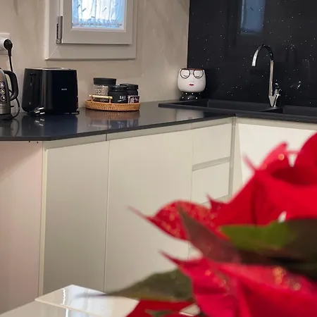Magicflo Santa Croce Apartment Florence