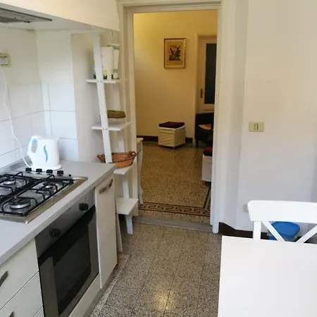 Bright Close To Downtown Daire