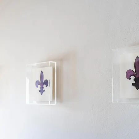 Oltrarno Deluxe, Apartment