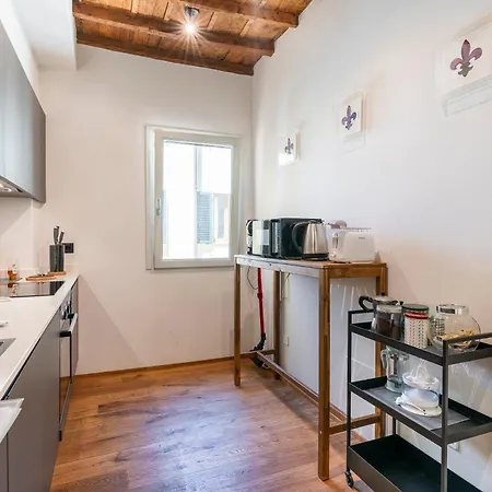 Apartment Oltrarno Deluxe, *
