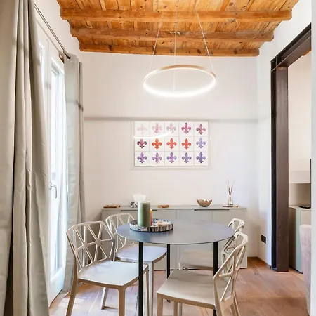 Apartment Oltrarno Deluxe, *
