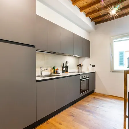 Oltrarno Deluxe, Apartment