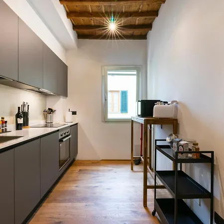Apartment Oltrarno Deluxe, *