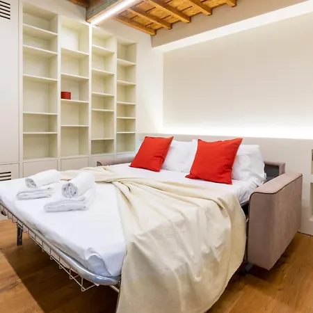 Apartment Oltrarno Deluxe, *