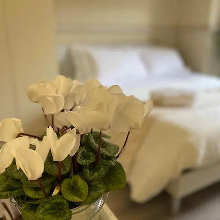 Apartment Charming Next To The Duomo Florence