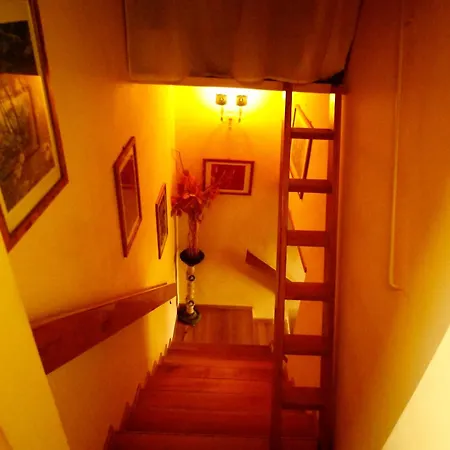 Guest house Margherita
