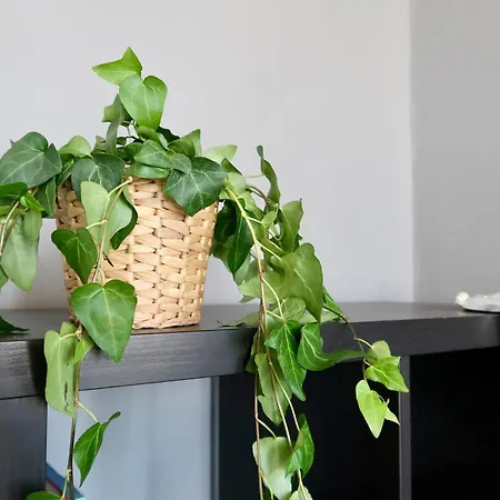 Guest house Spacious Esthers E Near Smn Florence