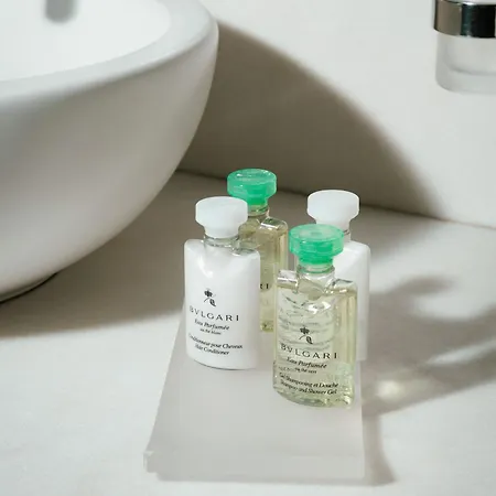 산 스위트&스파 4* 피렌체