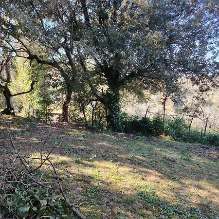 Giardinoterapeuticoinvilla Firenze