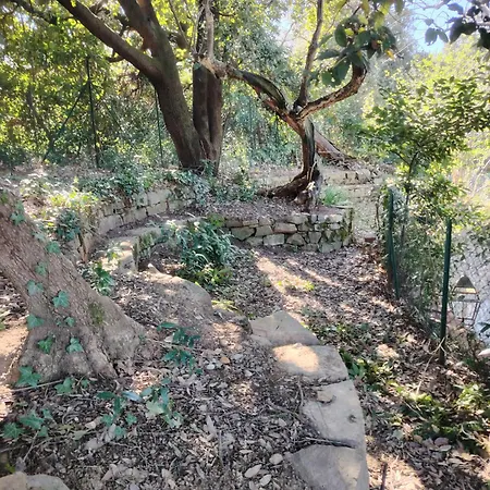 Giardinoterapeuticoinvilla Alloggio per agriturismo *