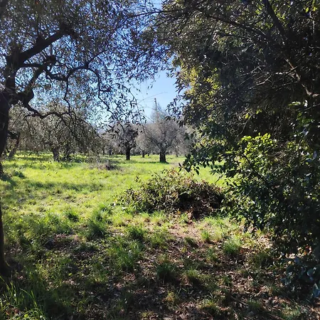 Alloggio per agriturismo Giardinoterapeuticoinvilla