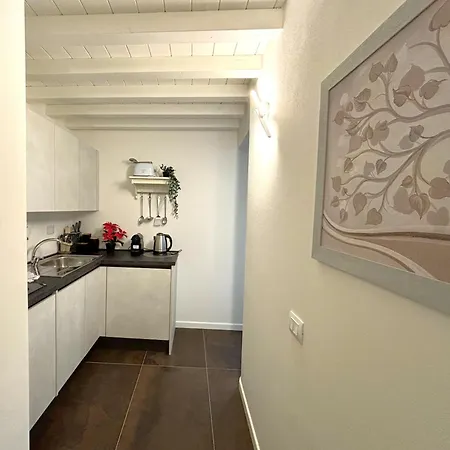 Purple Lily Apartamento