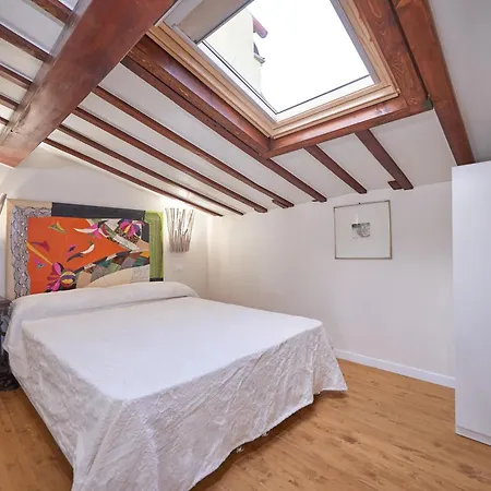 Apartment Penthouse With Terrace