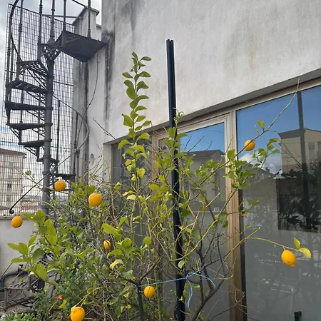 Girasole House Guest house