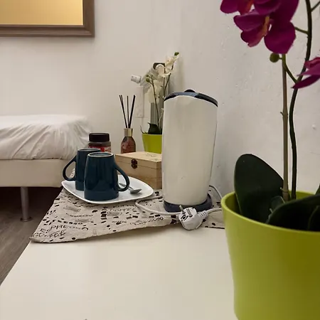 Bronze Horse Guest house Florence