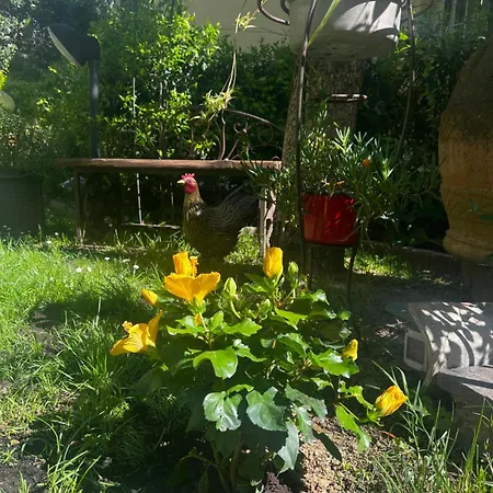 La Serra Sognante, Un Rifugio Incantevole Tra Natura E Relax Holiday home Florence