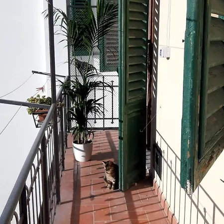 Florence Homestay Florence