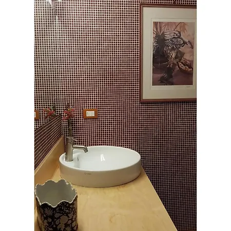 Bardi Escape