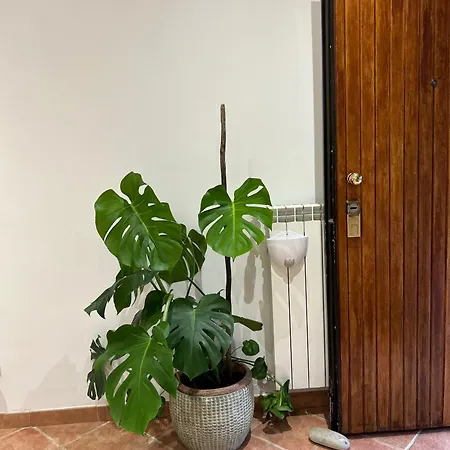 Daire Le Tre Orchidee Floransa