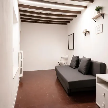 Apartment Pitti13