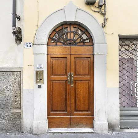 Agnolo 65 *