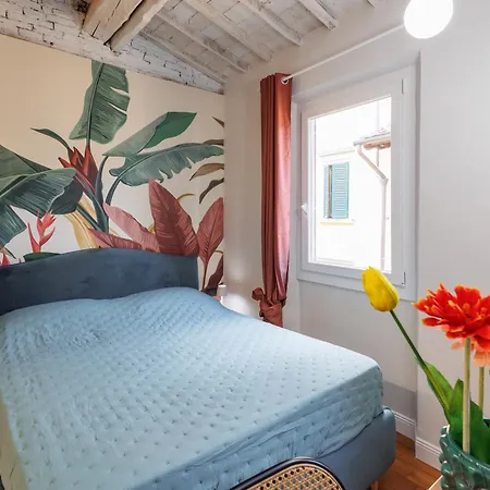 Appartement Jungle Flat