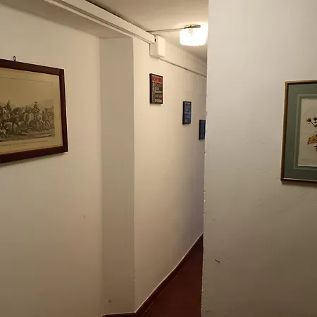 Luna In Firenze