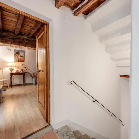 Heart Of Florence-duomo-centro Apartment *