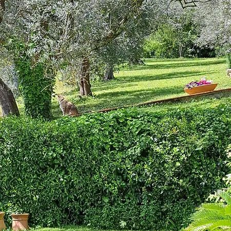 Via Bolognese, 238 - Emma - Il Tuo Immerso Nel Appartamento