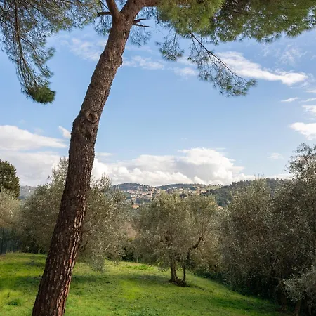 Appartamento Via Bolognese, 238 - Emma - Il Tuo Immerso Nel Firenze