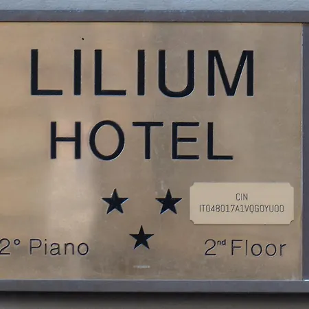 Lilium 3* Firenze