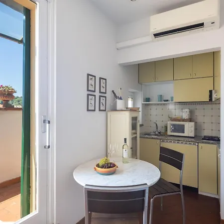 Apartment Romantic Terrace Florence
