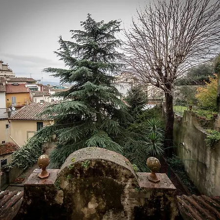 Magnoli Gold Apartment