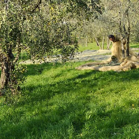 Armonie Di Incontri