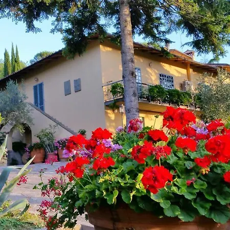 Ulivi Di Castello Bed & Breakfast Florence