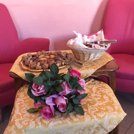 졸리 호텔 2*