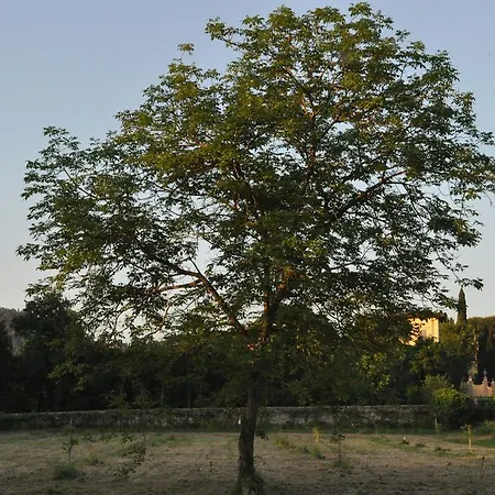 Bed & Breakfast Armonie Di Incontri 3*